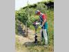 Efco TR 1551 Photo 5 thumbnail