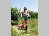 Efco TR 1551 Photo 6 thumbnail
