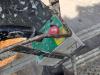 Airo SF 630 Photo 3 thumbnail