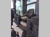 Fiat Hitachi FD14E Photo 12 thumbnail
