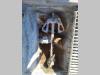 Putzmeister SPM500 Photo 11 thumbnail
