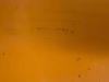 Volvo L150E Photo 14 thumbnail
