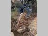 CM G160 Photo 1 thumbnail