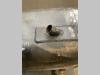 Oil tank for JLG LIFT 450 AJ Photo 6 thumbnail