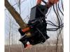 EMM Cesoia forestale per escavatori 100/150 q.li Photo 1 thumbnail