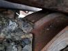 Liebherr PR 736 LGP Photo 24 thumbnail