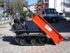 Gior 400 FORESTALE - CASSONE AGRICOLO - MOTOREZANETTI Photo 1 thumbnail