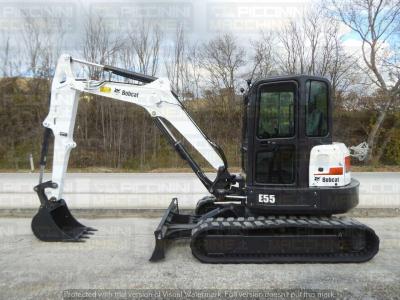 Bobcat E55 sold by Piccinini Macchine Srl
