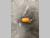 Headlight for Bitelli BB650 Photo 3 thumbnail
