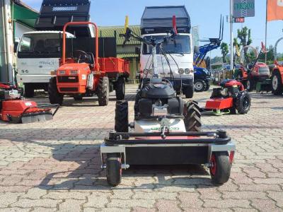 Tekna FL 620 - HONDA BENZINA - LARGHEZZA TAGLIO CM 60 sold by Giordano Srl