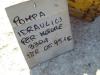 Hydraulic pump for Caterpillar 951C - MOTORE 3304 Photo 5 thumbnail