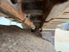 Volvo EC300EL - Hammer Lines / Automatic Greasing Photo 26 thumbnail