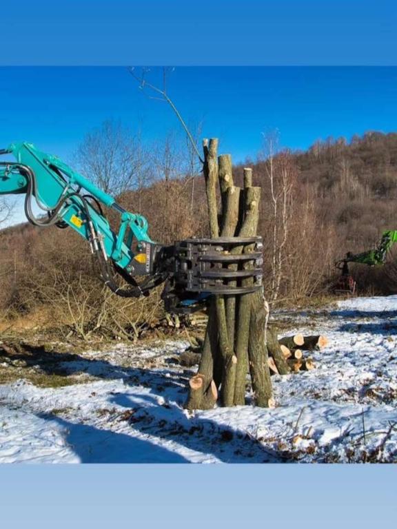 EMM Pinza multifunzione 50 / 120 q.li Photo 2