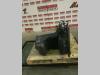 SERBATOIO PER AD BLUE VOLVO FH16 550 Tank Photo 1 thumbnail