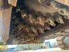 Bomag BM2000 / 75 Cold Planer Photo 10 thumbnail