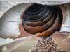De Buf BETON MIXER/MALAXEUR/MISCHER10M3 Photo 14 thumbnail