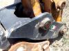 Cangini 160 Photo 2 thumbnail