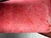 Dynapac CA152D Photo 11 thumbnail