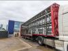 Lecitrailer CUELLO CISNE 3E-RD+DOUBLE ETAGE+DHOLLANDIA 2TON Photo 7 thumbnail