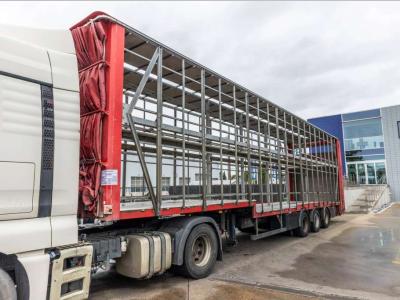 Lecitrailer CUELLO CISNE 3E-RD+DOUBLE ETAGE+DHOLLANDIA 2TON sold by Braem NV