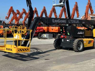 Liugong LT26JE sold by Massucco T. Srl