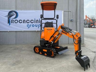 Wortex RAPTOR 600 sold by Procaccini Group Nord