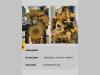 Caterpillar MOTORE REVISIONATO CAT C7.1 Photo 3 thumbnail