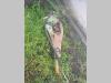 Montabert BRH125 Photo 1 thumbnail