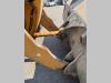 Liebherr L550-2plus2 Photo 14 thumbnail