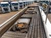 Renault PREMIUM 270 + MAGYAR 14000L+4COMP Photo 13 thumbnail