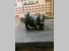 Turntable rotation motor for Neuson 3402 Photo 2 thumbnail