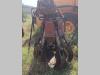 Rozzi RV400B6P Photo 3 thumbnail
