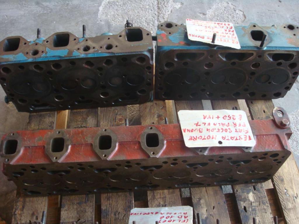 Cylinder head for Fiat 8065.04 Photo 3