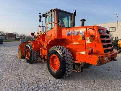 Fiat Hitachi W170 sold by Skynet Srl