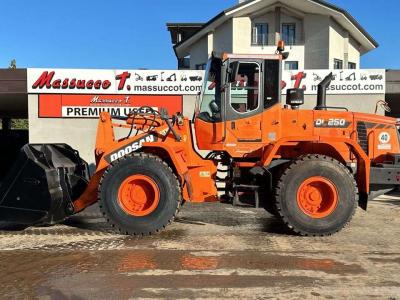 Doosan DL250 sold by Massucco T. Srl