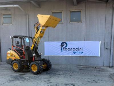 SDLG L902H sold by Procaccini Group Sud