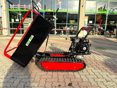 Gior 600 II SERIE ZANETTI - CASSONE AGRICOLO FORESTALE - NOVITA' IN PRONTA CONSEGNA sold by Giordano Srl