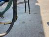 Zorzi 20R065 SCARRABILE Photo 8 thumbnail