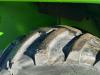 Merlo P40.16 K 4x4 Photo 5 thumbnail
