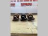 Carrier rollers for Hitachi ZX160LC Photo 3 thumbnail