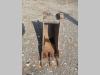 JCB 65R-1 Photo 16 thumbnail