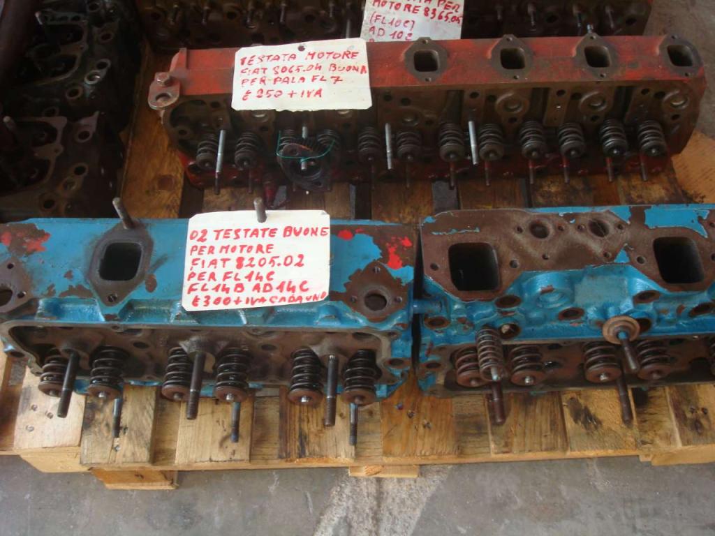 Cylinder head for Fiat 8205.02 Photo 1