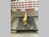 Rear axle for Bell 30 E Photo 1 thumbnail