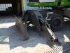 Sennebogen 835G Hybrid Photo 22 thumbnail