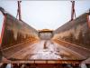 Galtrailer B2PS-10CNN - HYDR. ACHTERDEUR Photo 12 thumbnail