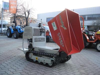 Rotair RAMPICAR R 70 AE DUMPER - MOTORE Vanguard Briggs&Stratton sold by Giordano Srl