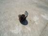 Pulley for Fiat Kobelco 235 Photo 2 thumbnail
