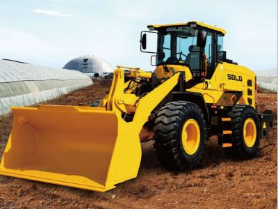 SDLG L938H sold by Procaccini Group Sud