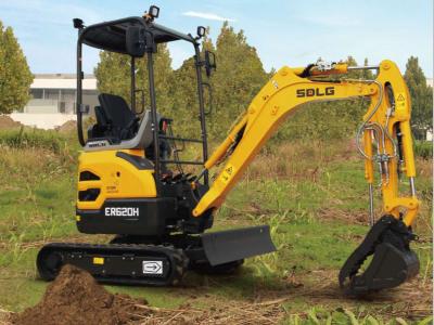 SDLG ER620H sold by Procaccini Group Nord