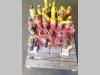 Hydraulic distributor for New Holland E 215 Photo 3 thumbnail